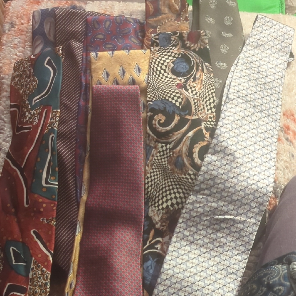 Elegant Multicolor Men's Tie Set of Ten